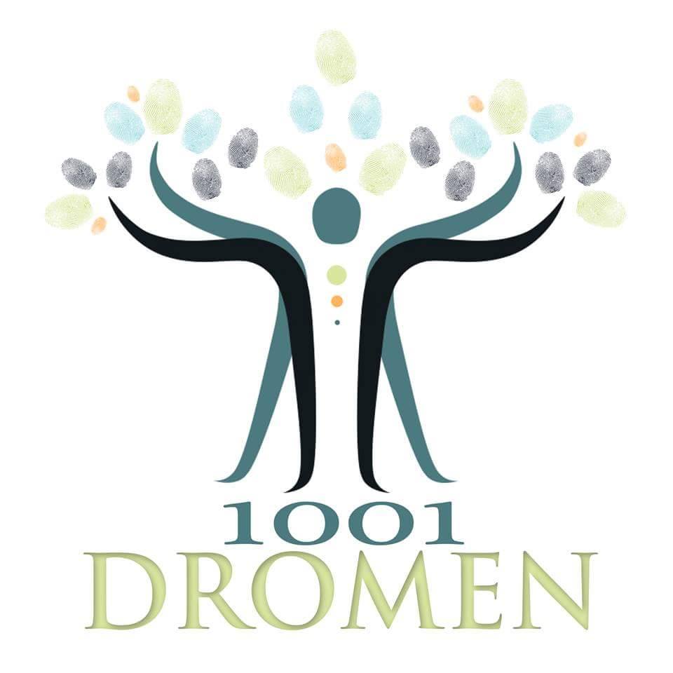 logo 1001 dromen