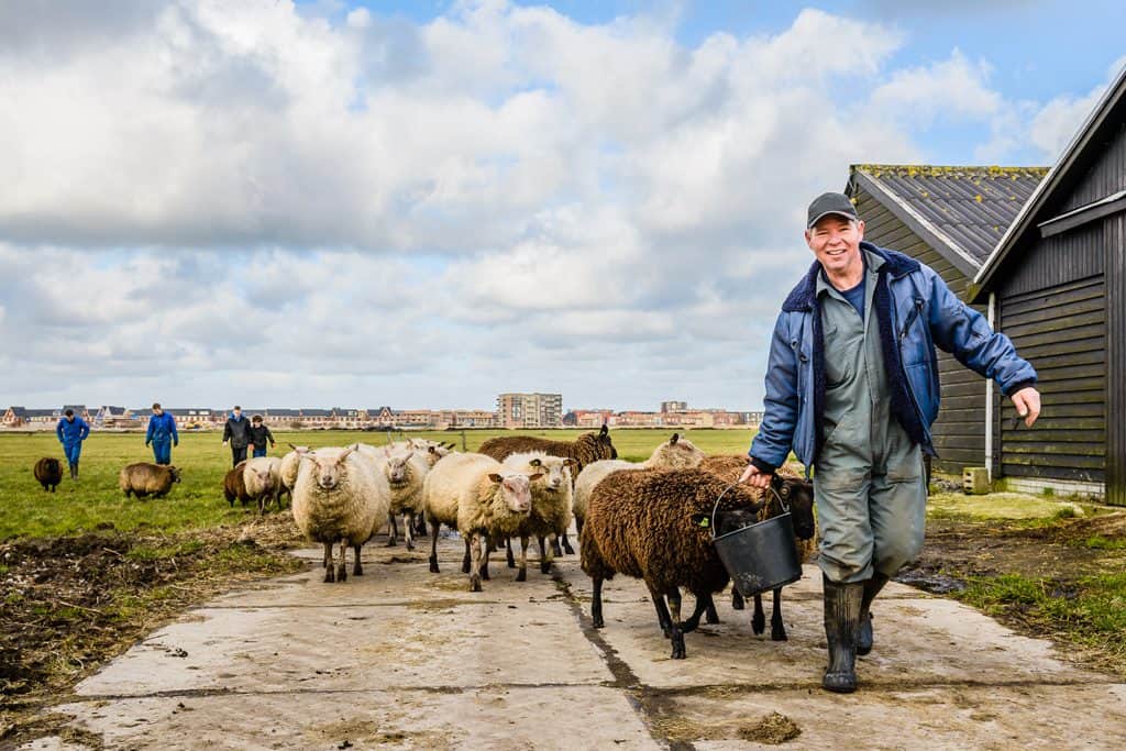 Foto Pascal Fielmich Dit is de Zaanstreek Assendelft