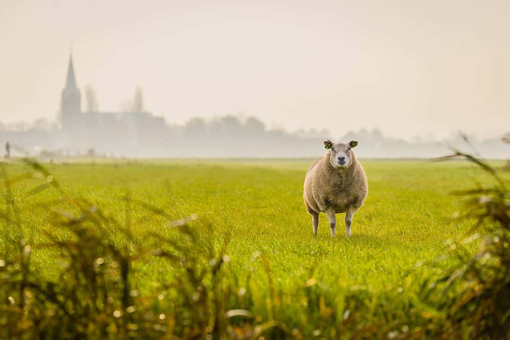 20141104_PFB2030-1024px-Foto-Pascal-Fielmich