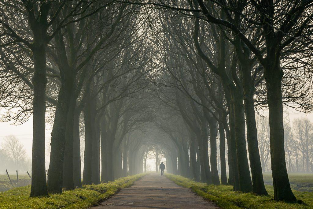 Zeven Maat, foto Pascal Fielmich/Dit is Assendelft