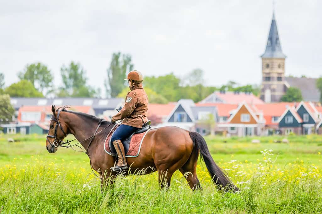 20150526_PFA0945-1024px-Foto-Pascal-Fielmich