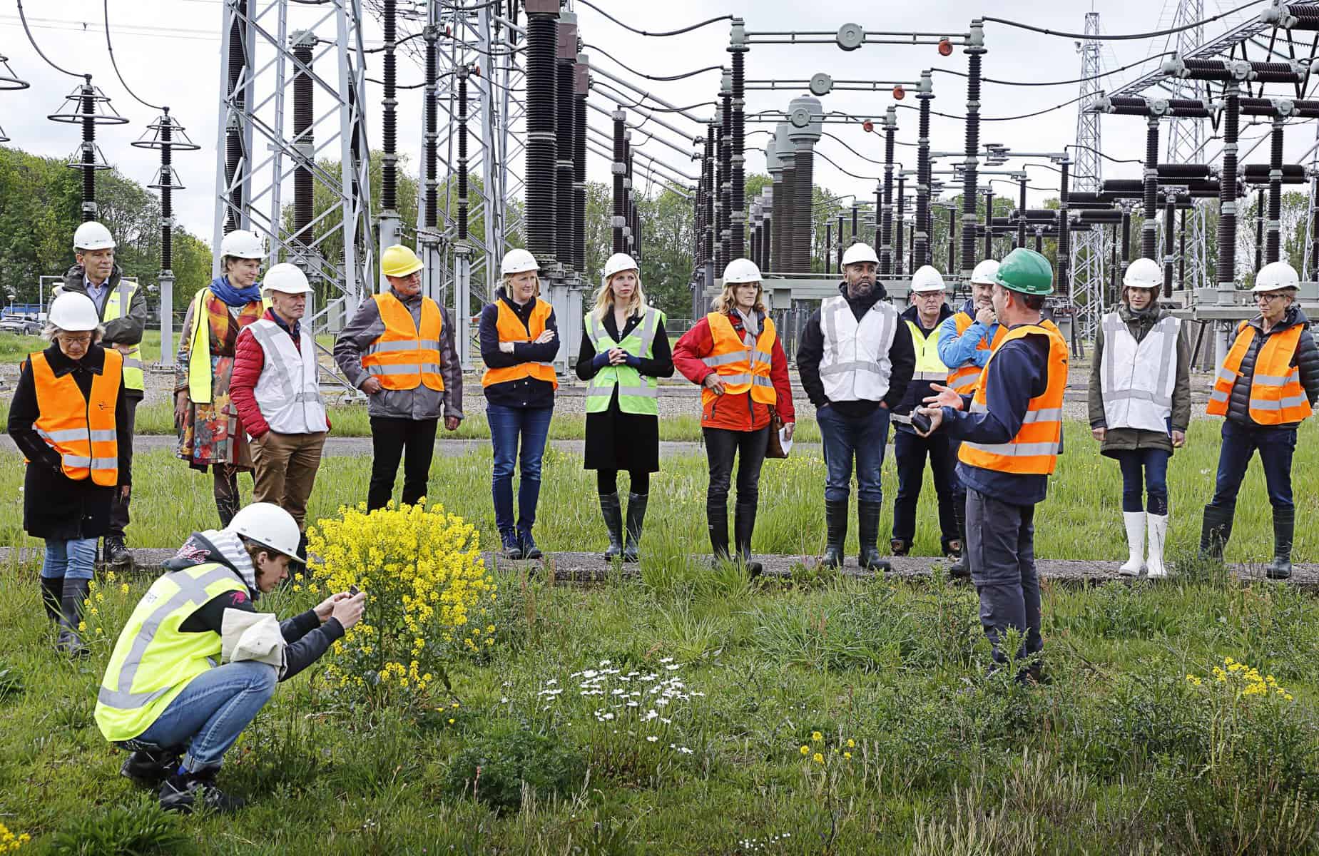 Samenwerking Tennet en Vlinderstichting.