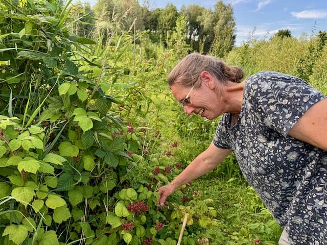 Vrijwilliger aan het werk in de Pluktuin Jagersveld