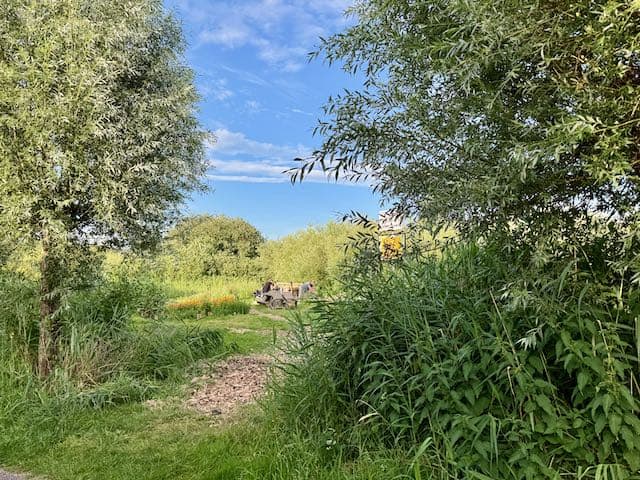 Vrijwilligers aan het werk in de Pluktuin Jagersveld
