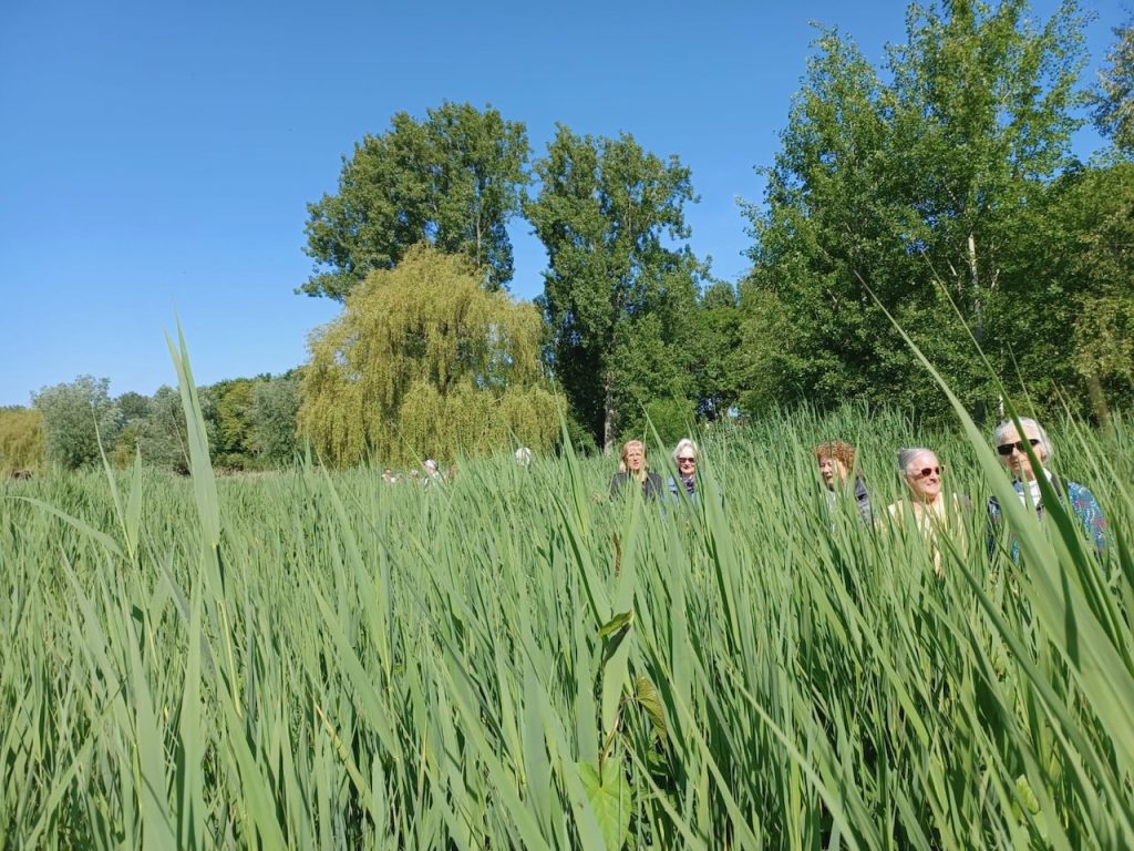 gezond natuur wandelen